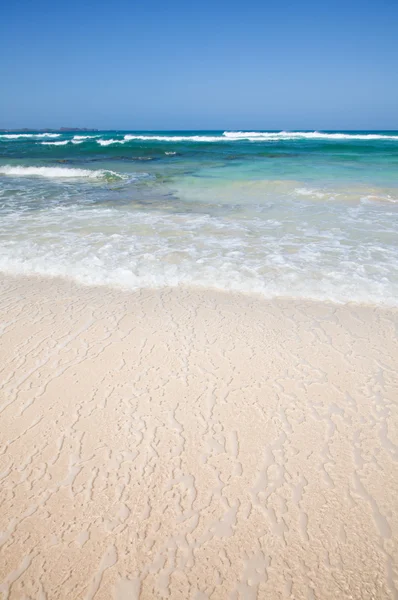 Beautiful clean beach — Stockfoto