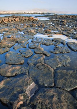 el cotillo, fuerteventura kenarına düşük tide