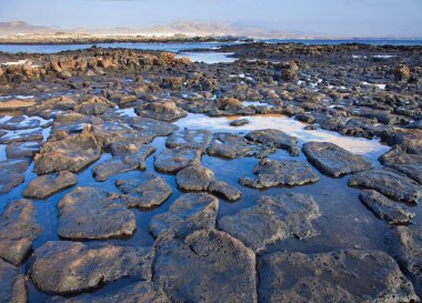 el cotillo, fuerteventura kenarına düşük tide