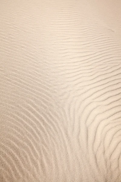 Pola pasir — Stok Foto