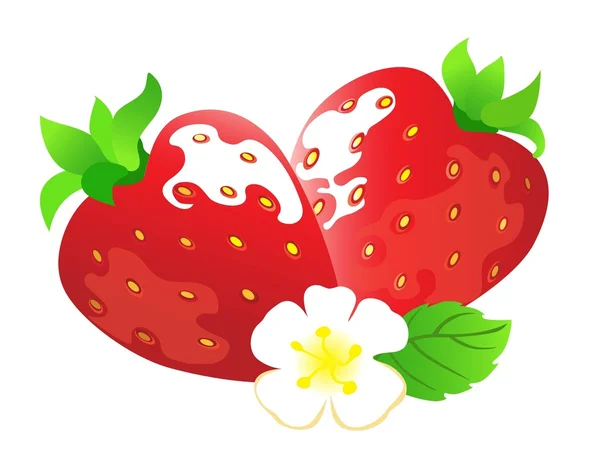 stock vector Strawberry