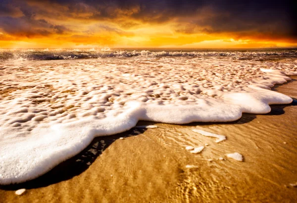 Solnedgång stranden — Stockfoto
