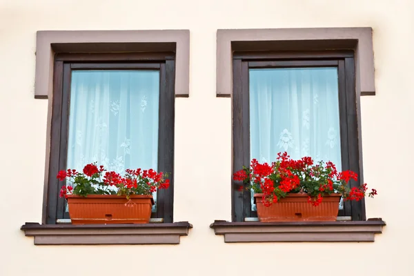 Boîte de fenêtre arrangement de fleurs — Photo