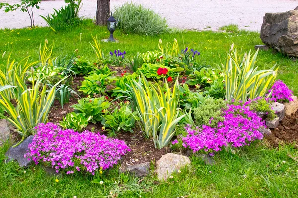 Pequeno jardim — Fotografia de Stock