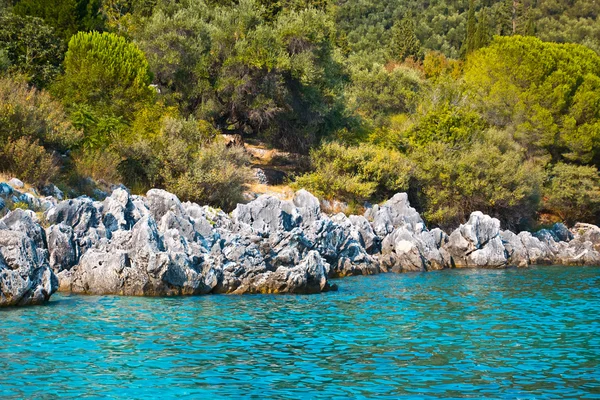 フォア グラウンドでブッシュ大統領と岩と緑豊かな海岸。ギリシャの島々 の海岸 — ストック写真