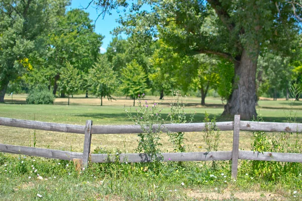 Old wooden fence in village with orchard behind — Stok fotoğraf