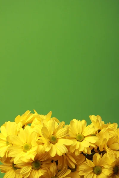 Some yellow flowers — Stock Photo, Image