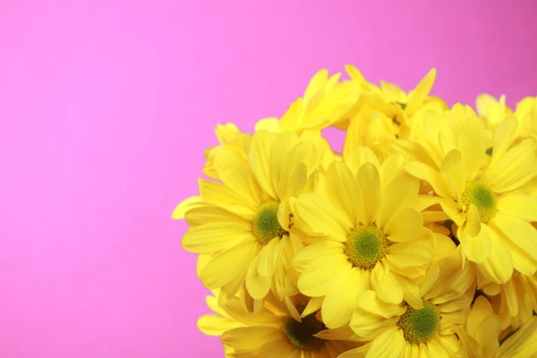 Floral theme — Stock Photo, Image