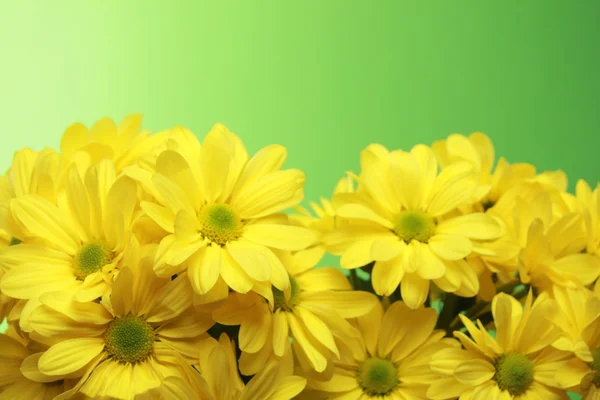 Banner floral theme — Stock Photo, Image