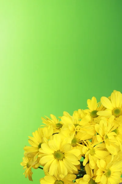 Fleurs jaunes mignonnes — Photo
