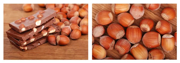 Två bilder av hasselnötter — Stockfoto