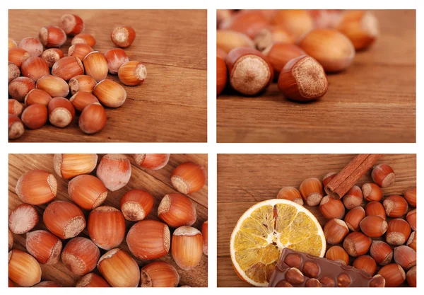Tasty photos of hazelnuts — Stock Photo, Image