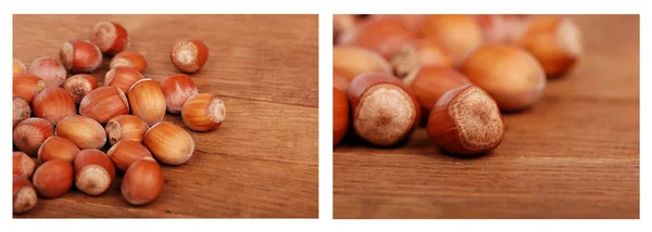 Photos of hazelnuts — Stock Photo, Image