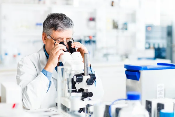Chercheur masculin principal effectuant des recherches scientifiques dans un laboratoire — Photo