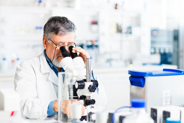 Senior male researcher carrying out scientific research in a lab