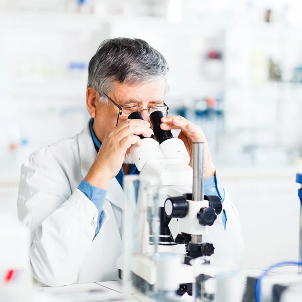 Bir laboratuvarda bilimsel araştırmalar yürüten uzman erkek araştırmacı — Stok fotoğraf