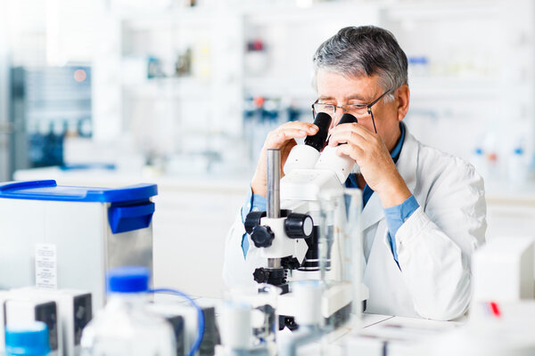 Senior male researcher carrying out scientific research in a lab