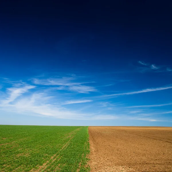 Seeded field and a field lying — Stock Photo, Image