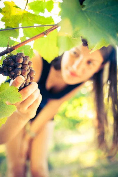 Szőlő szőlő lét kockás mellett egy női borkereskedő — Stock Fotó