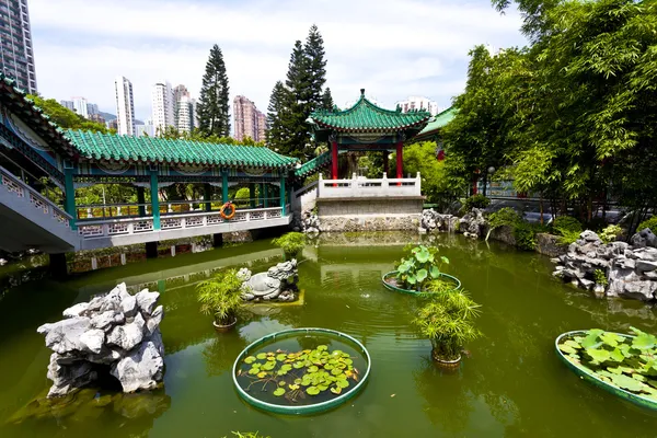 Jardín chino —  Fotos de Stock