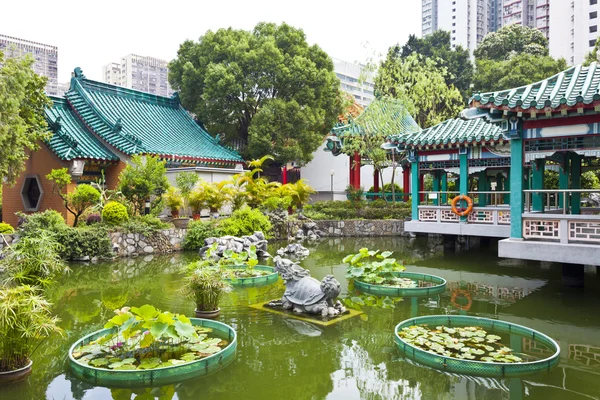 Kinesisk stil trädgård — Stockfoto
