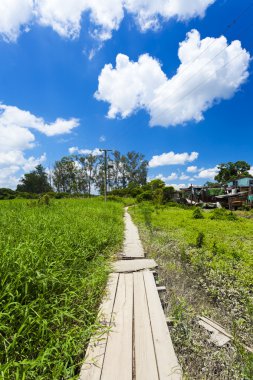 güzel yol boyunca meadows