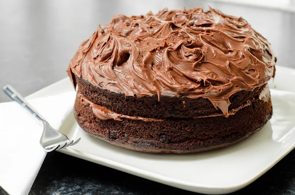 Torta di pan di Spagna al cioccolato fatta in casa . — Foto Stock