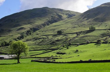 yorkshire dales peyzaj