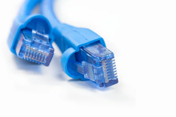 stock image Network cables