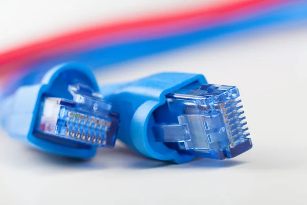 stock image Rj45 network cables