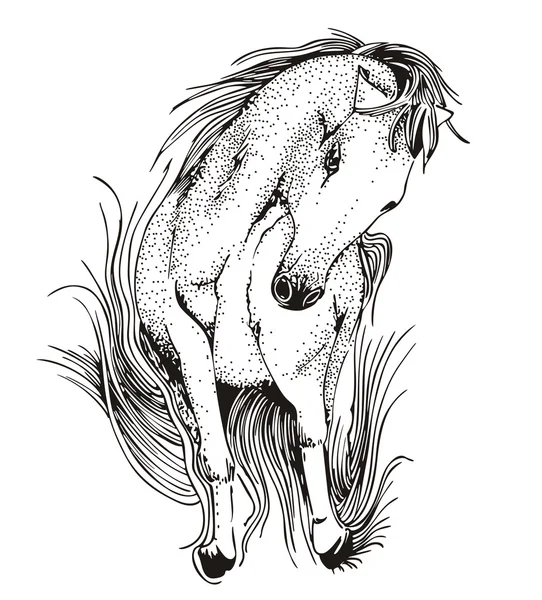 Häst i gräs — Stock vektor