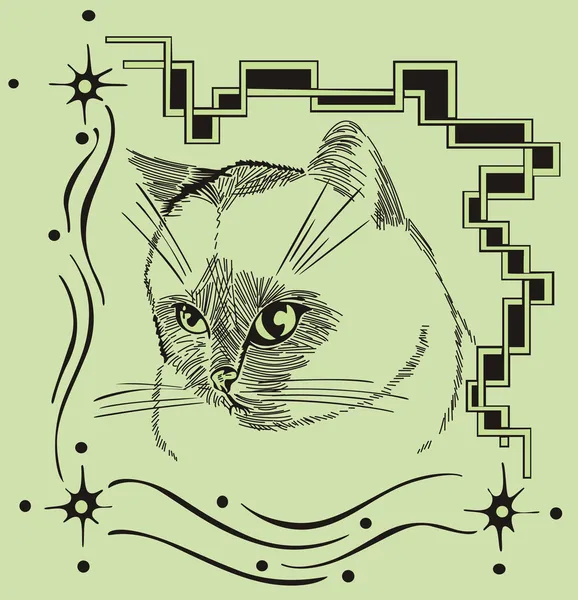 Dekorrahmen mit Katze — Stockvektor