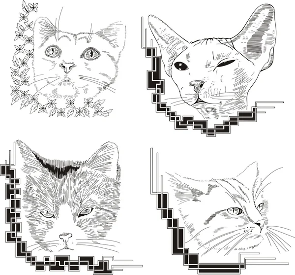 Uppsättning av inramade katten skisser — Stock vektor