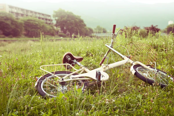 Велосипед на зеленому лузі — стокове фото