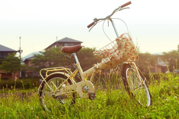 Rower na zielonej łące — Zdjęcie stockowe
