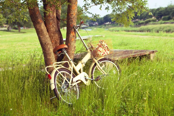 Fahrrad auf der grünen Wiese — Stockfoto