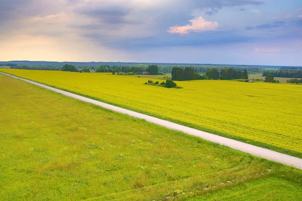 Long road over field on windy weather — Stock Photo, Image