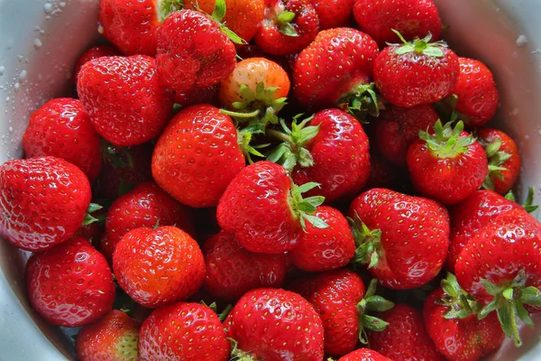 Μεγεθύνεται φρέσκες φράουλες θέσεις σε μεταλλικά μπολ — Φωτογραφία Αρχείου