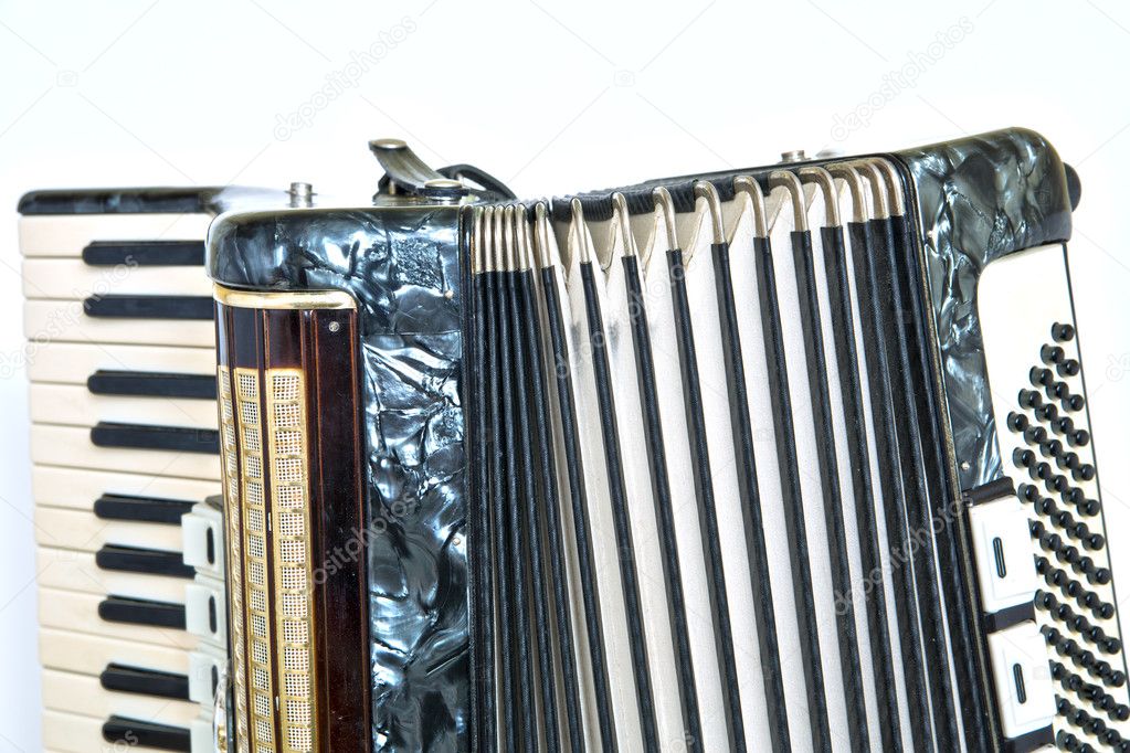 Shiny accordeon have white and black button