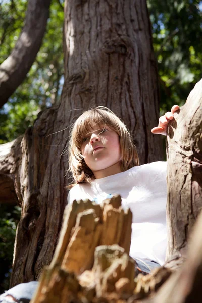 Bambino arrampicata albero foresta — Foto Stock