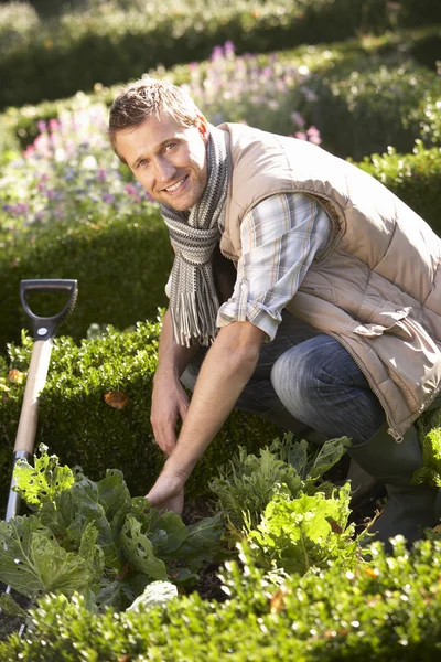 Junger Mann arbeitet im Garten — Stockfoto