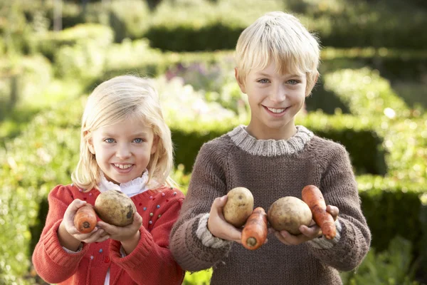Crianças pequenas em pose de jardim com legumes — Fotografia de Stock