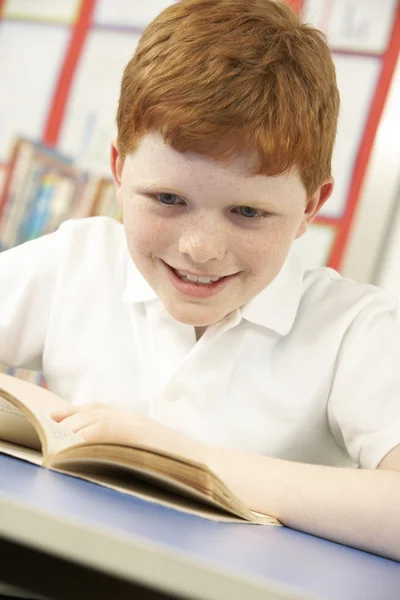 Schoolboy Studying In Classroom — Stock Photo, Image