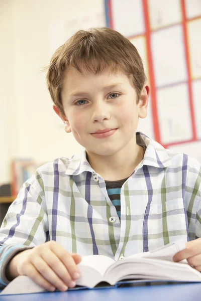 Schoolboy Studying Textbook In Classroom Royalty Free Stock Photos