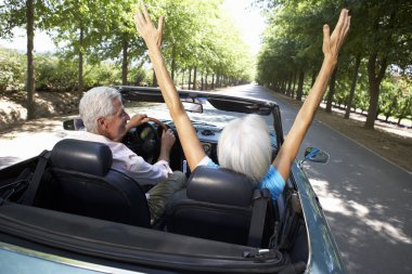 Senior couple in sports car clipart