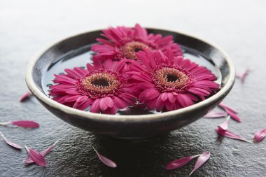 Flower heads in bowl of water clipart