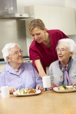 Senior women with carer enjoying meal at home clipart