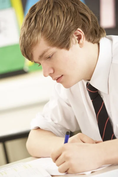 Manliga teenage student som studerar i klassrummet — Stockfoto