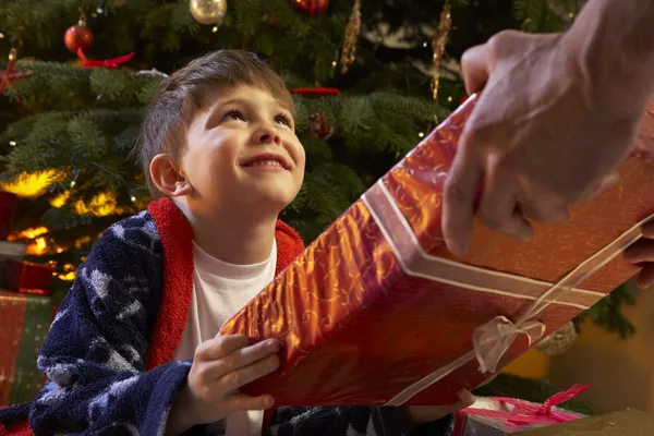 收到的圣诞礼物在树前的小男孩 — 图库照片