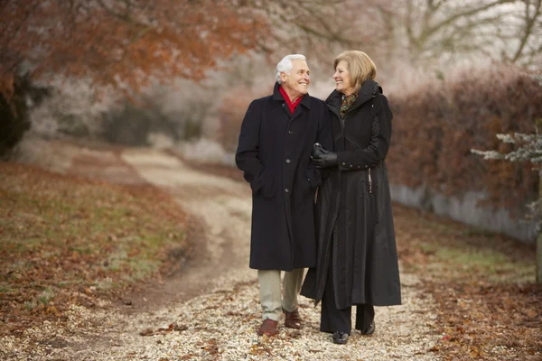 Äldre par på vintern promenad genom frostiga landskap — Stockfoto